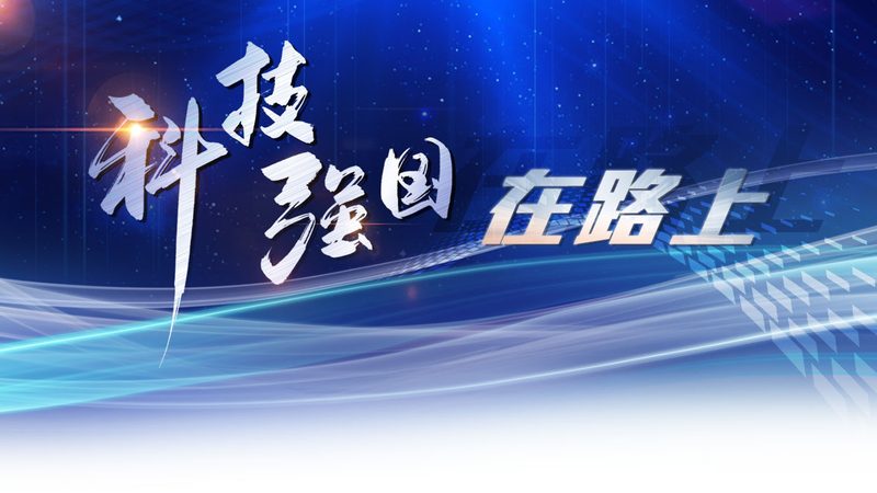 软件测试流程与步骤：面试官眼中的关键